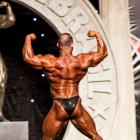 Ronny   Rockel - IFBB Arnold Brasil  2016 - #1